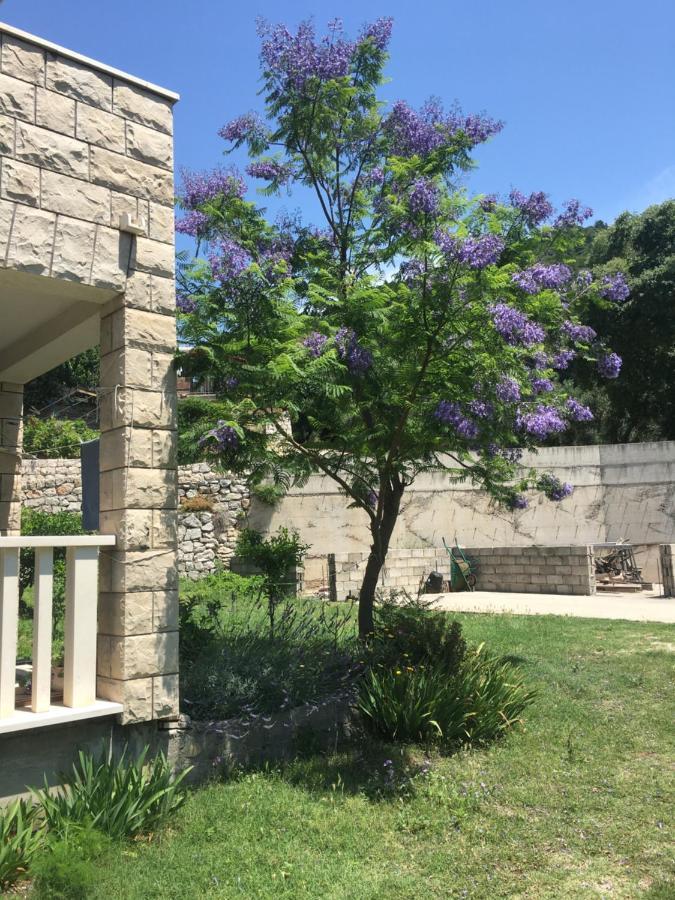 Apartmani Domenika Žuljana Buitenkant foto